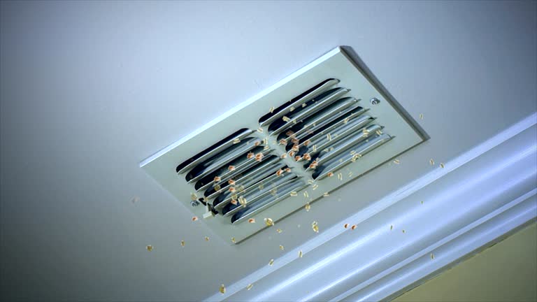 Best Best Air Duct Cleaning Company  in Cedar Point, NC