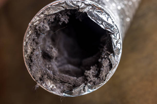 Best Duct Cleaning Specialists  in Cedar Point, NC